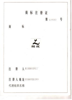 龍化商標(biāo)注冊證第619503號2012917-20221129-1